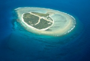 جزیره مرجانی بانو الیوت استرالیا